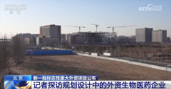 <b>新一批标记性严沉外资项目正在华落地 2025年稳外</b>